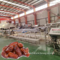 Industrial Egypt palm dates processing machine line